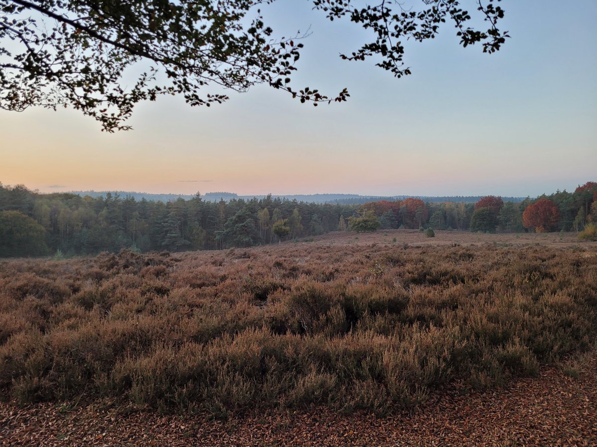 Prachtige wandelavond op de #AmerongseBerg