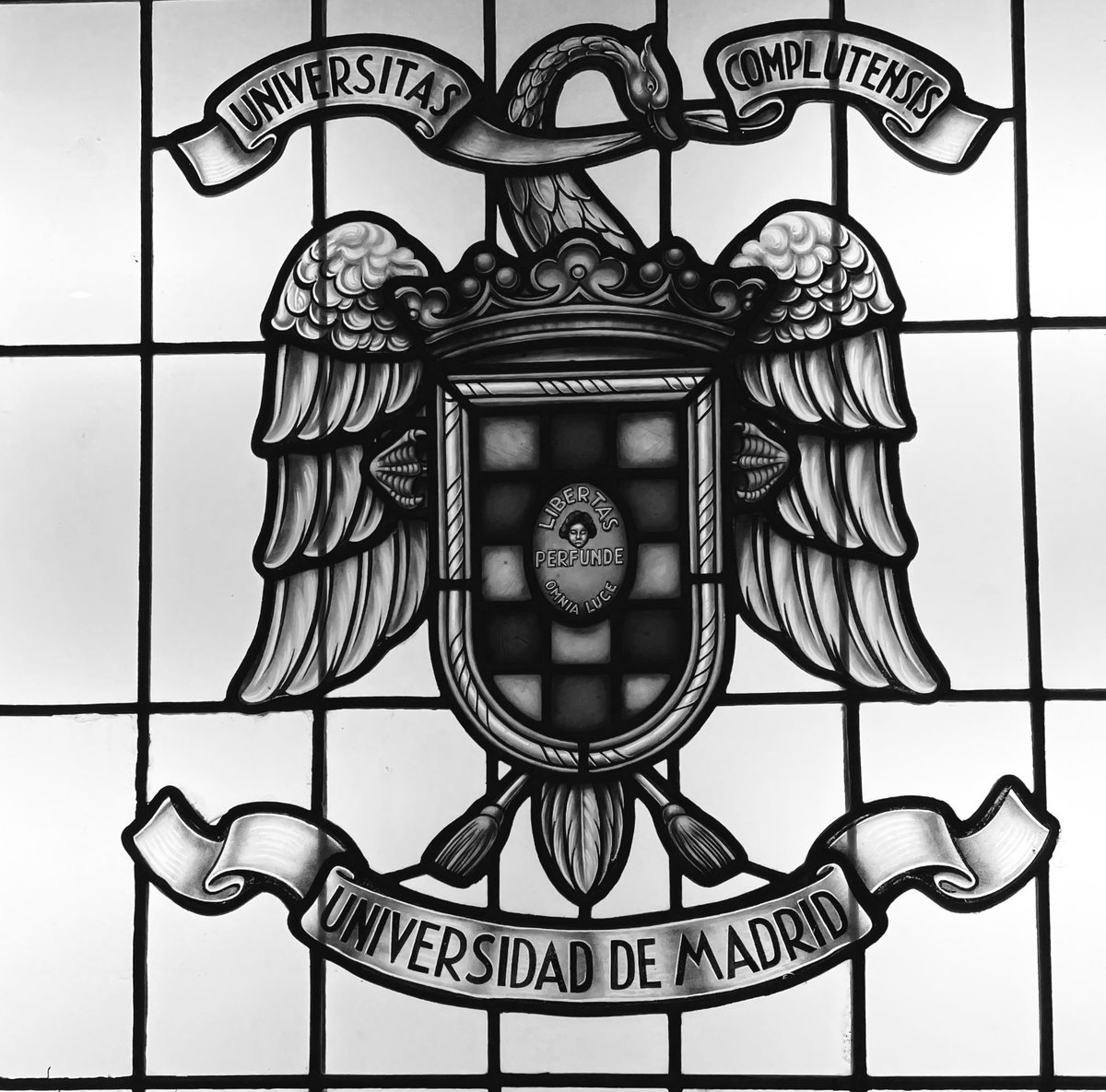 DanielePreziosi's tweet image. Since more than one month, and until next year,  I'm at the #Complutense in Madrid with #twisting #nickelates  #membranes in the lineup. Thanks @JACOBOSANTAMARI  for this great opportunity. Happy to be around at #GMFC.