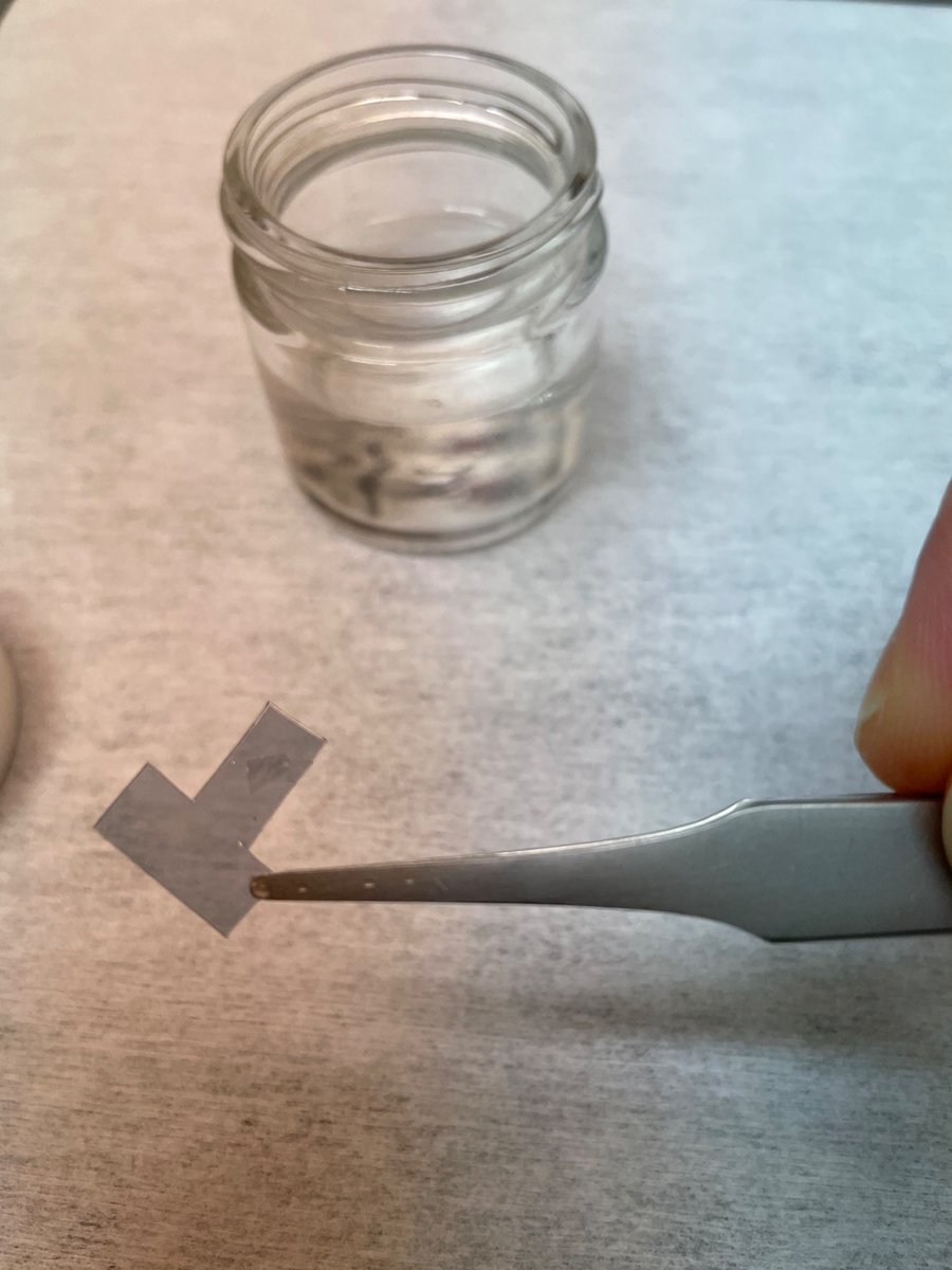 DanielePreziosi's tweet image. Since more than one month, and until next year,  I'm at the #Complutense in Madrid with #twisting #nickelates  #membranes in the lineup. Thanks @JACOBOSANTAMARI  for this great opportunity. Happy to be around at #GMFC.