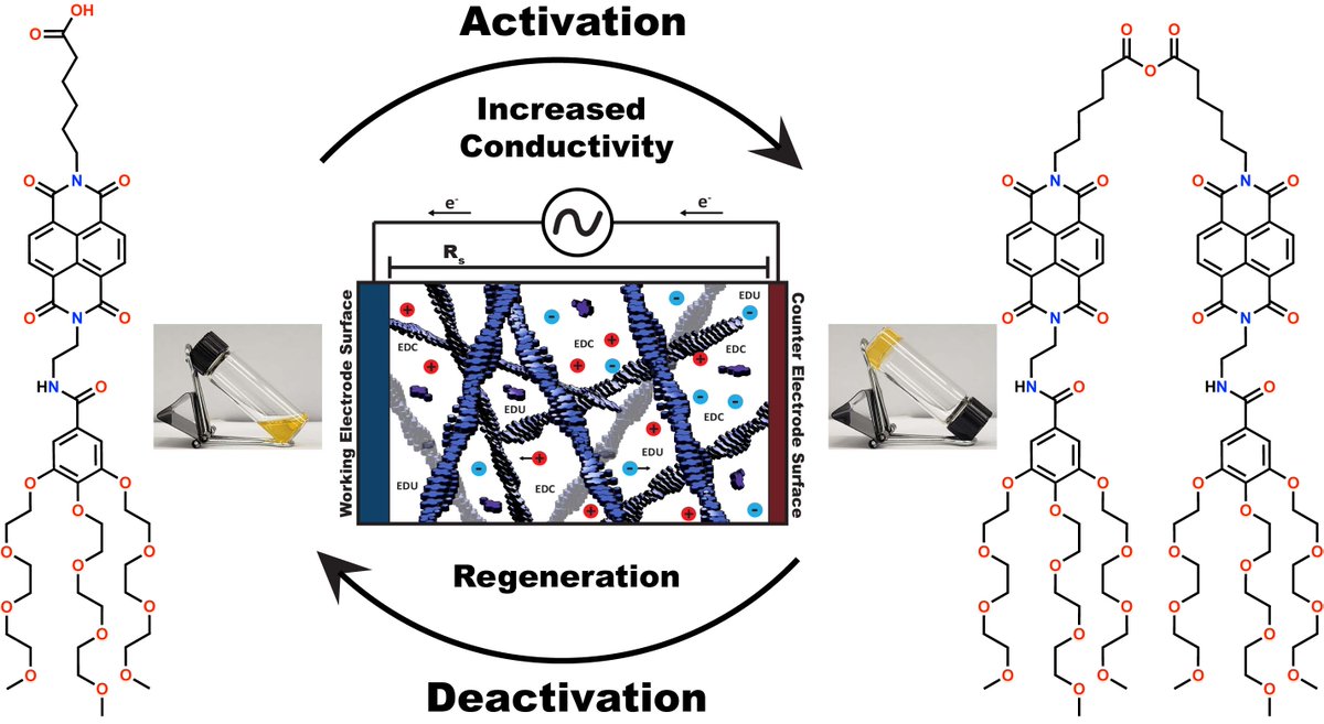 OlivierResearchGroup (@olivierresearch) on Twitter photo With @boekhovenlab and <a href="/AcevedoResearch/">Acevedo Research</a>, we show that a chemical reaction cycle applied to π-conjugated supramolecular polymers enables the formation of transient hydrogels whose electrical conductivity is regulated by the consumption of chemical fuels. <a href="/angew_chem/">Angewandte Chemie</a> Thanks to With @boekhovenlab and <a href="/AcevedoResearch/">Acevedo Research</a>, we show that a chemical reaction cycle applied to π-conjugated supramolecular polymers enables the formation of transient hydrogels whose electrical conductivity is regulated by the consumption of chemical fuels. <a href="/angew_chem/">Angewandte Chemie</a> Thanks to