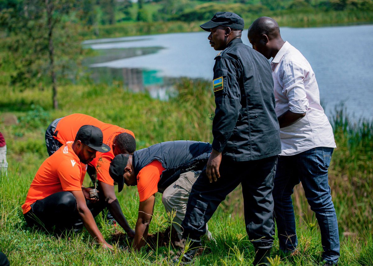 REMERA SECTOR tweet media