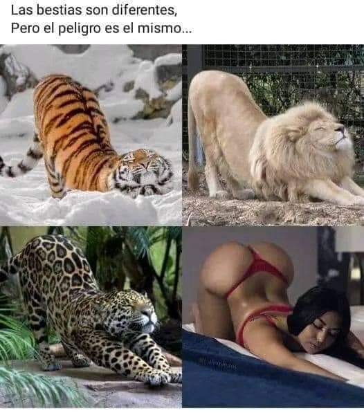 M  A  C  U  N  D  A (@lucavillarrea12) on Twitter photo 