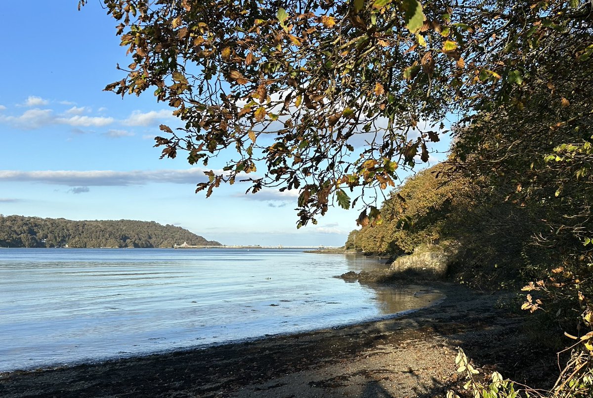 val morrison (@valmorrisonprof) on Twitter photo A lovely start to the weekend- hoping that the weather holds to welcome all the potential students and families coming for the OpenDay on Sunday <a href="/BangorUni/">Bangor University</a> <a href="/PsychBangor/">Bangor Psychology</a> <a href="/SeicolegBangor/">Seicoleg Bangor </a> <a href="/SportSciBangor/">SportSciBangor</a> A lovely start to the weekend- hoping that the weather holds to welcome all the potential students and families coming for the OpenDay on Sunday <a href="/BangorUni/">Bangor University</a> <a href="/PsychBangor/">Bangor Psychology</a> <a href="/SeicolegBangor/">Seicoleg Bangor </a> <a href="/SportSciBangor/">SportSciBangor</a>