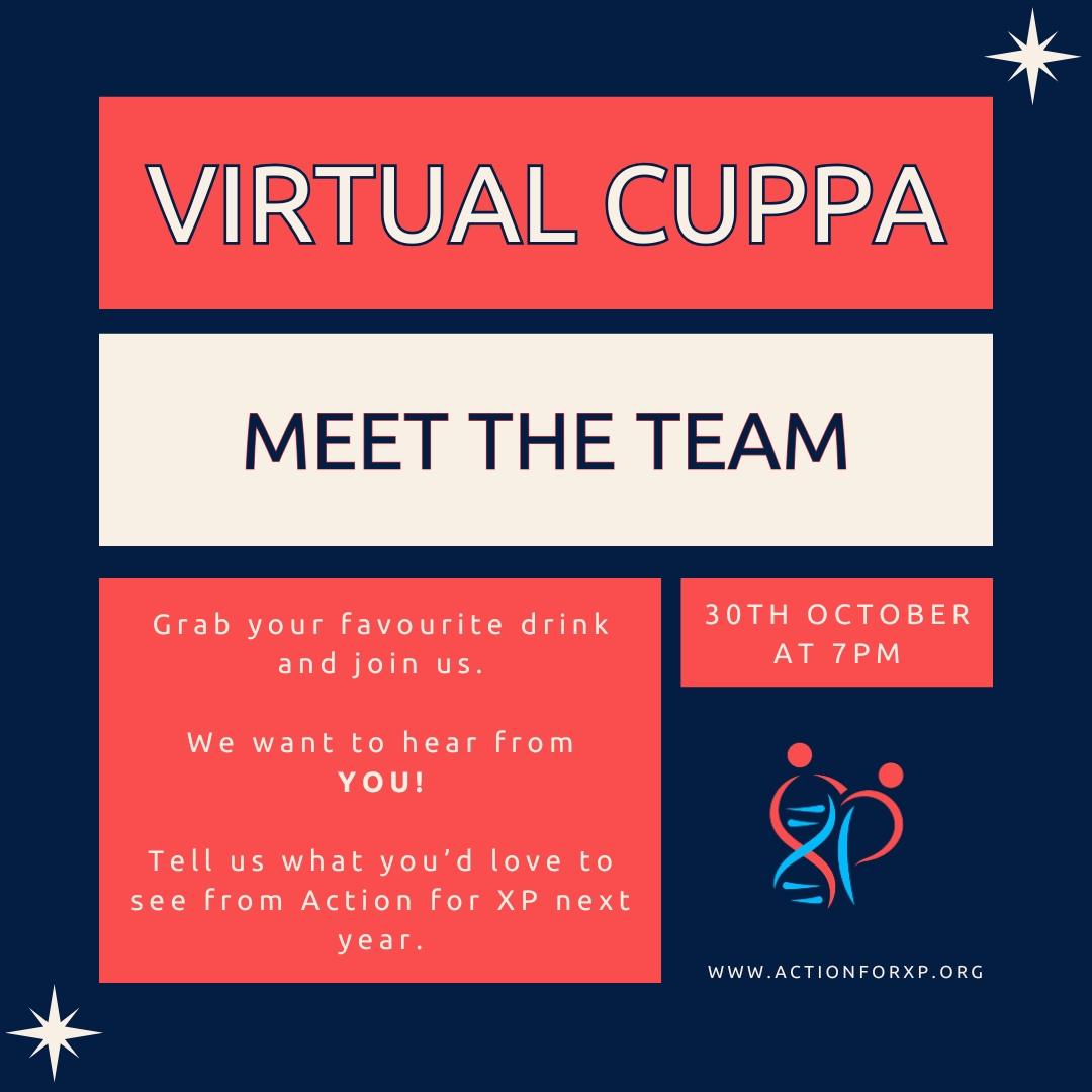 Action for XP tweet media