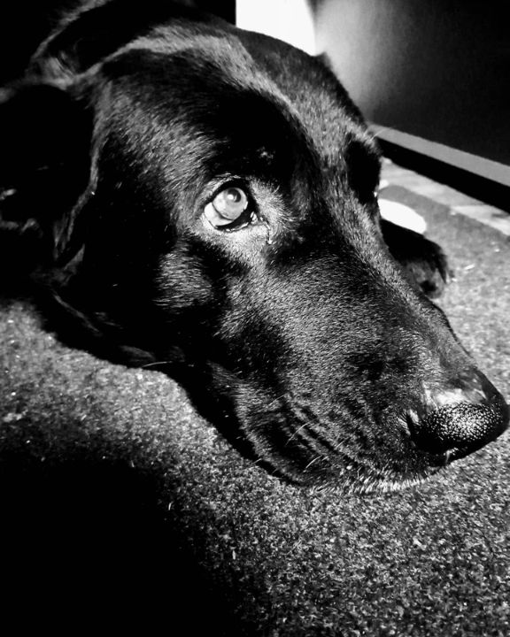 brigita brajkovic (LOVE COINBASE ) tweet media