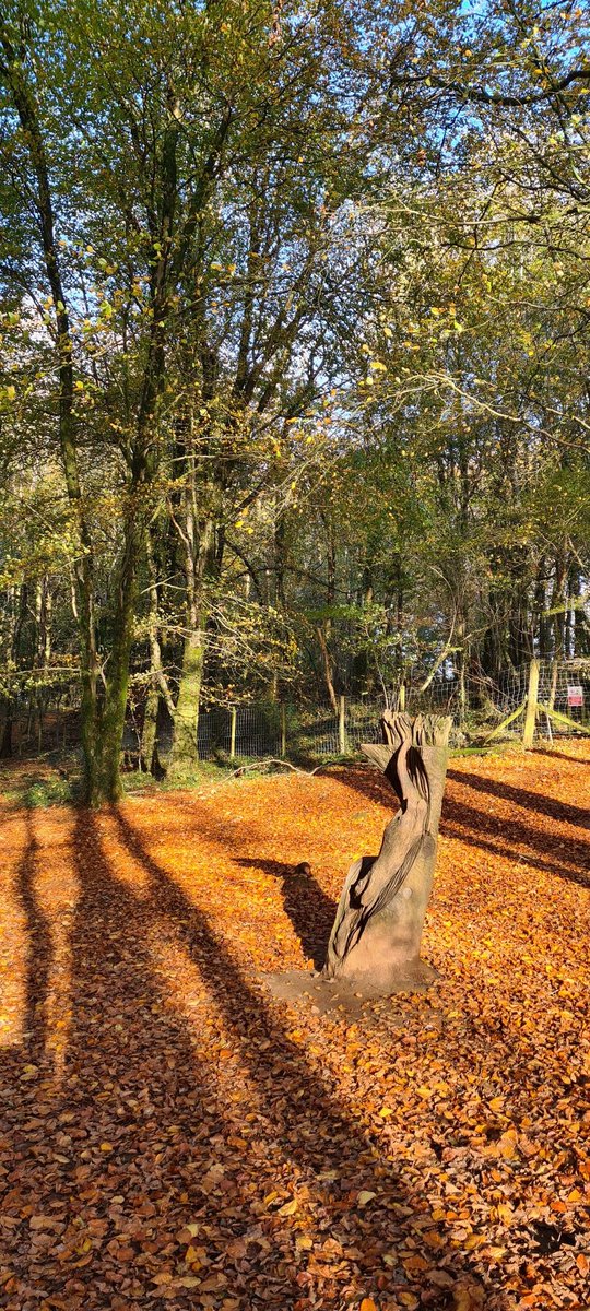 CastellUK's tweet photo. Autumn day @lovecastellcoch ☀️🍂☀️🍂☀️🍂
#Cardiff #Tongwynlais #localbusiness #handmadesoaps #reeddiffuser https://t.co/heLxt1ZNEu