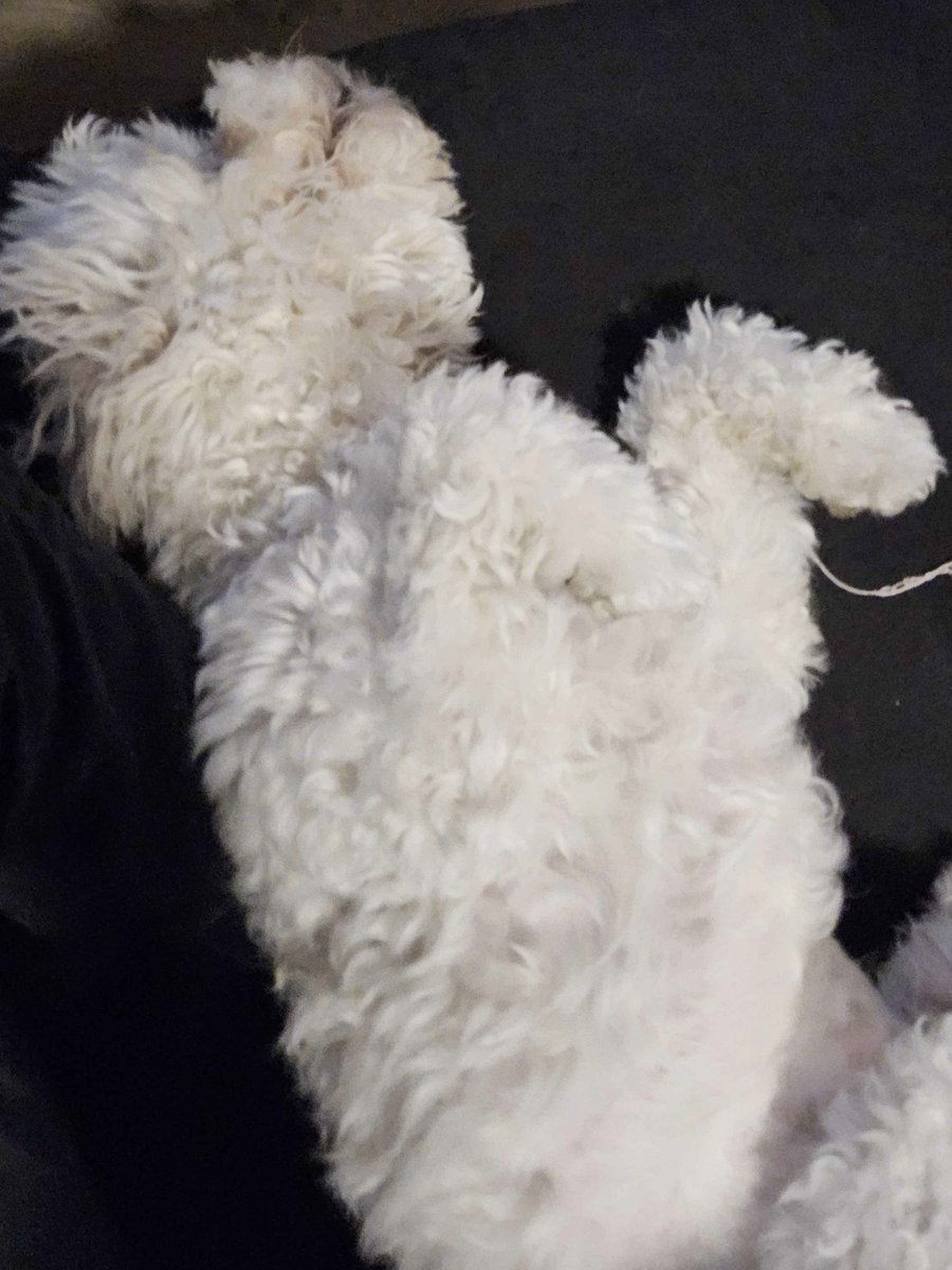 // Here's who you have to blame if I suddenly disappear in the middle of writing