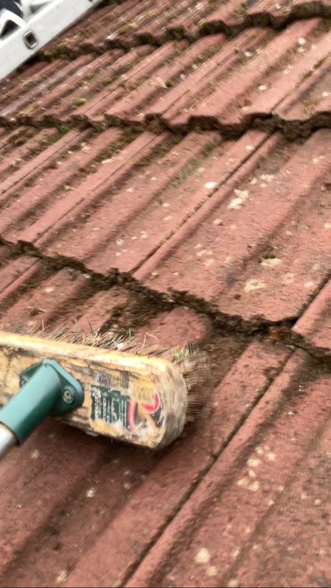 KendoCameron's tweet image. Proper wee family business being built. 

@_aaron_cameron &amp;amp; I attacking day one of removing &amp;amp; treating some moss on a roof in #Barnton whilst the rest of the family leafleted and brought in more work!