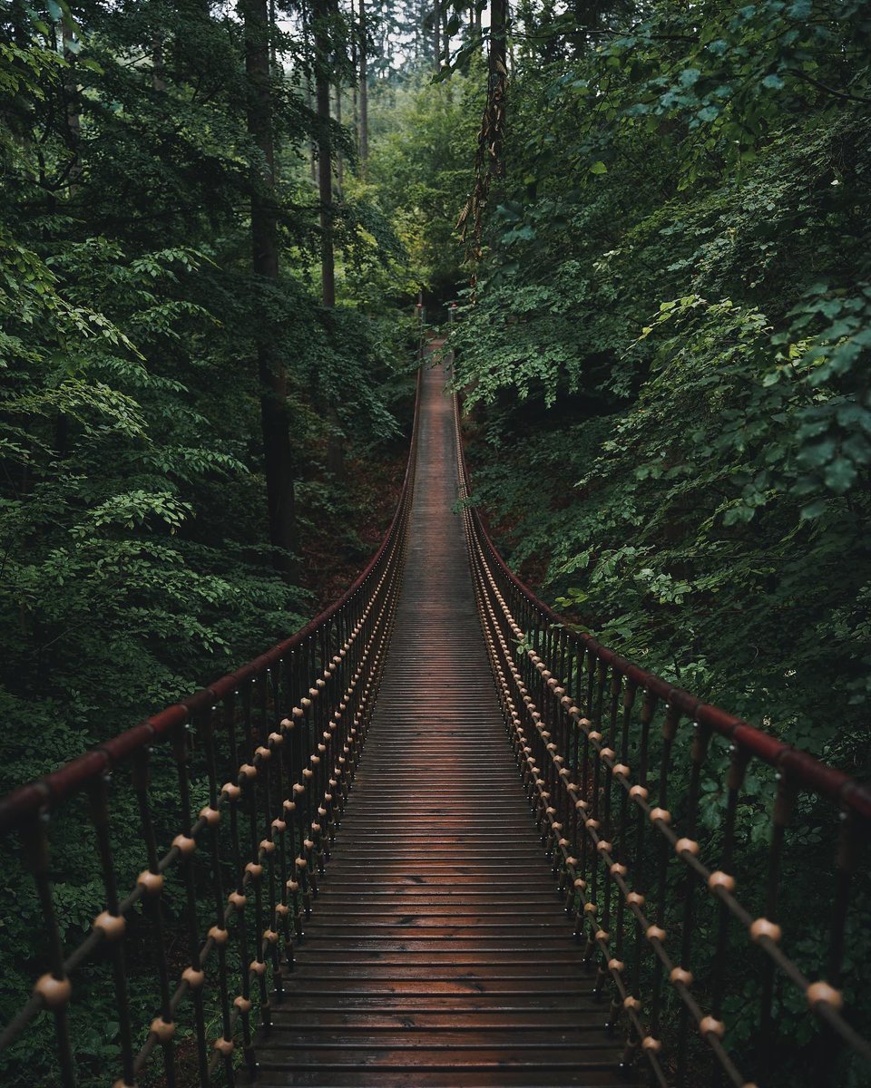 earthcurated's tweet image. — Passage 🍃