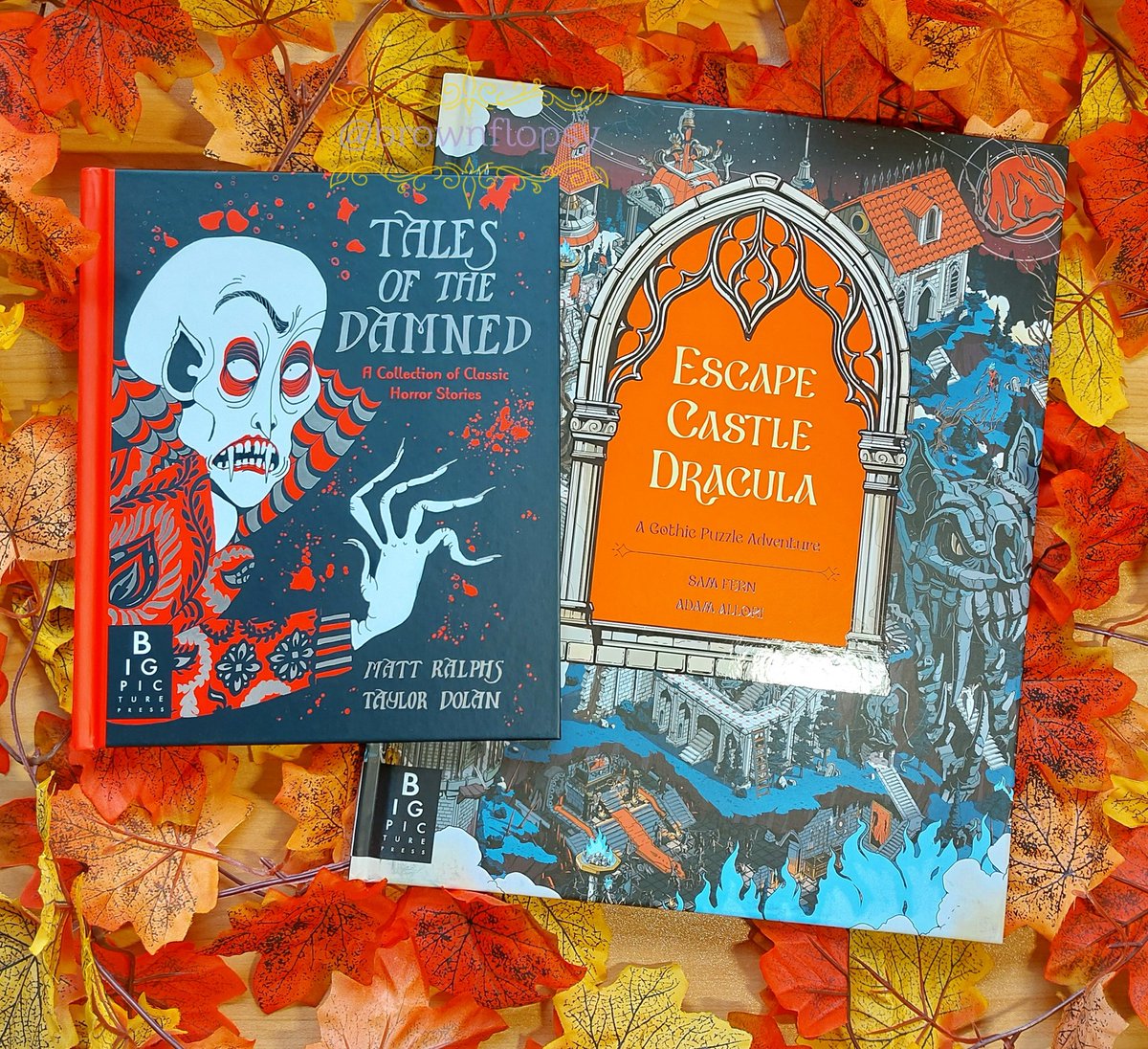 Sue at Brown Flopsy's Book Burrow 🐇📖 tweet media