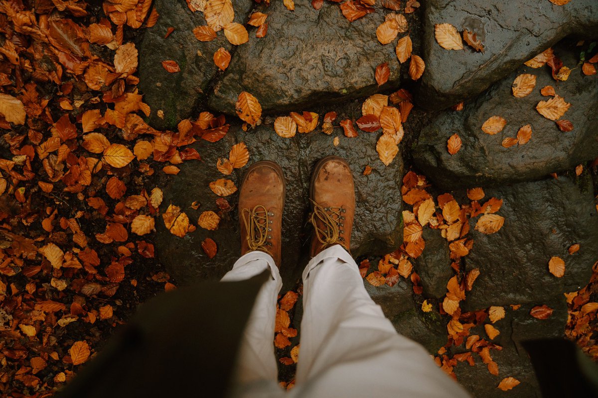 Daniel Casson tweet media