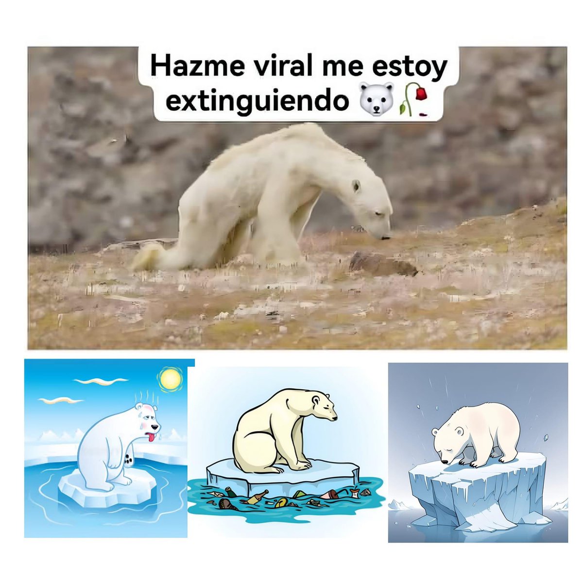 mayumiguillen's tweet image. 