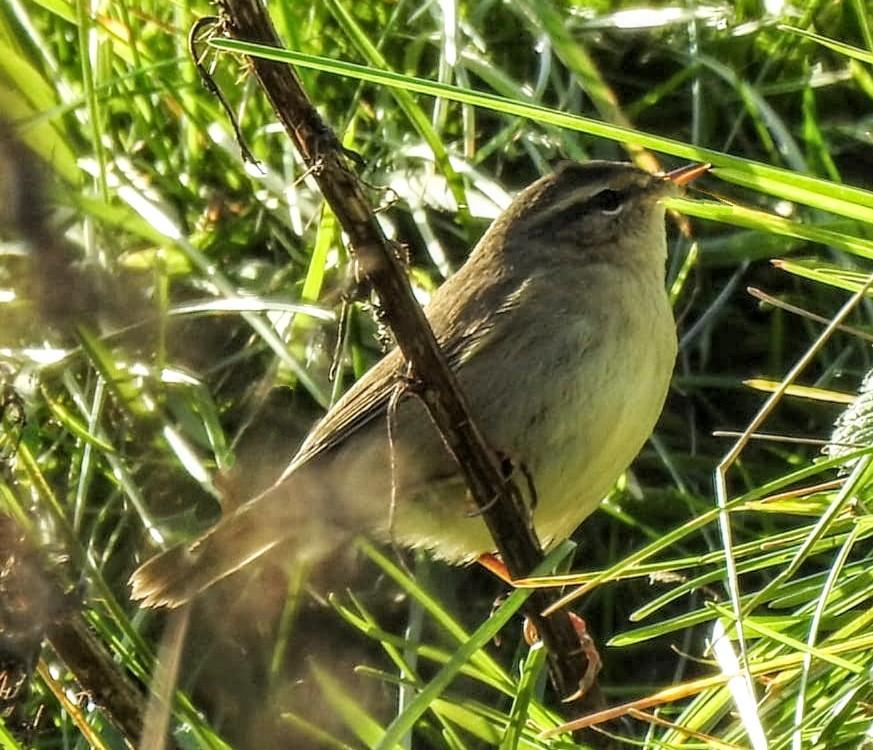 Martin Gray tweet media