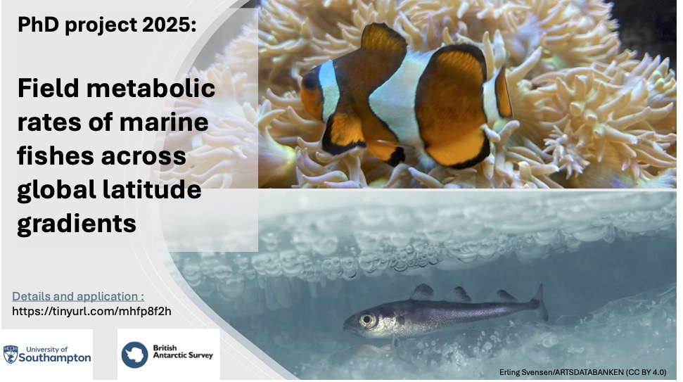 Clive Trueman (clivetrue.bsky.social) (@clivetrue) on Twitter photo Please share - PhD with me, @BAS colleagues and <a href="/LaurenNadler/">Dr. Lauren Nadler</a> <a href="/unisouthampton/">University of Southampton</a> - Fish metabolism across latitudes - lovely team, cool science and great fish! Please contact me, details: tinyurl.com/mhfp8f2h Please share - PhD with me, @BAS colleagues and <a href="/LaurenNadler/">Dr. Lauren Nadler</a> <a href="/unisouthampton/">University of Southampton</a> - Fish metabolism across latitudes - lovely team, cool science and great fish! Please contact me, details: tinyurl.com/mhfp8f2h
