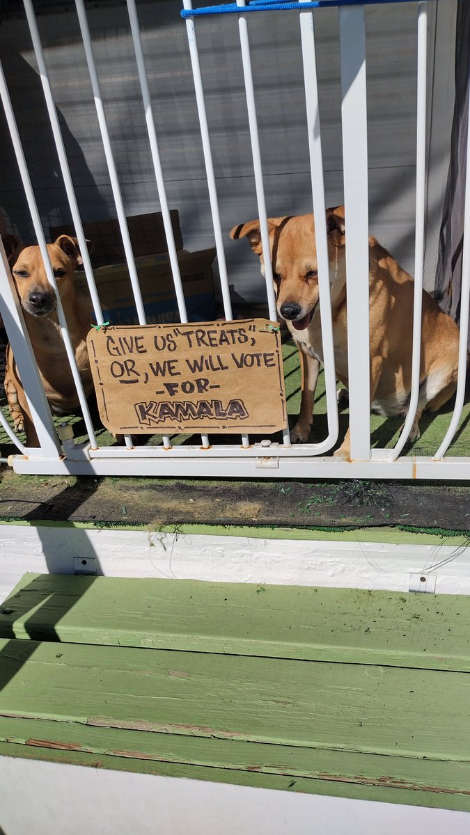 I'M NOBODY tweet media