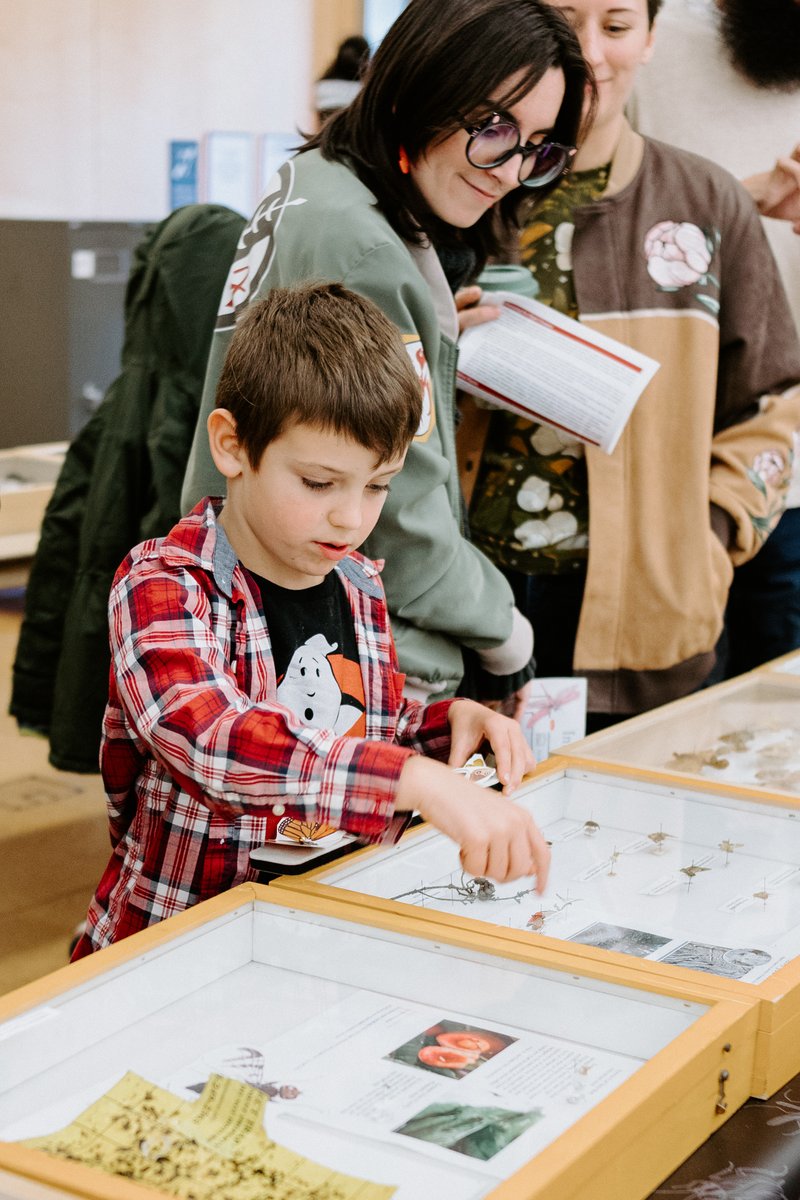 Cornell University (@cornell) on Twitter photo We loved welcoming everyone to Stocking Hall for the annual Insectapalooza festival hosted by the Department of Entomology and <a href="/CornellCALS/">Cornell CALS</a>!
From beekeeping workshops to plant-insect interactions, festival-goers got a glimpse of the bizarre, bad, and beneficial of insects. We loved welcoming everyone to Stocking Hall for the annual Insectapalooza festival hosted by the Department of Entomology and <a href="/CornellCALS/">Cornell CALS</a>!
From beekeeping workshops to plant-insect interactions, festival-goers got a glimpse of the bizarre, bad, and beneficial of insects.