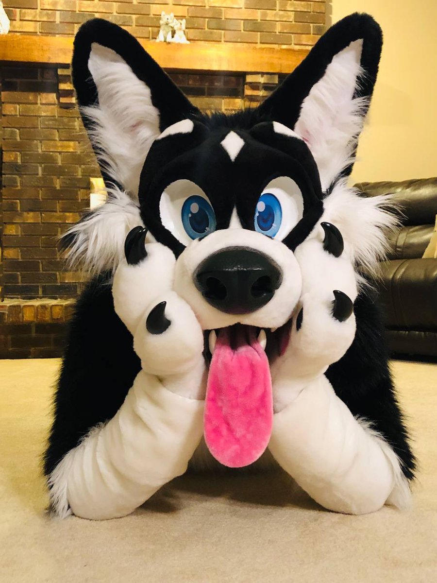 Bark bark! 

Happy #FursuitFriday !!