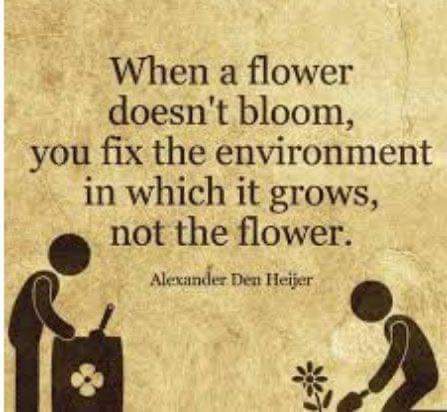 Trauma does not exist in a vacuum. 
To cure the child, you heal the parent. 
We need to reform the environment where our young people are raised. 🧠🌱