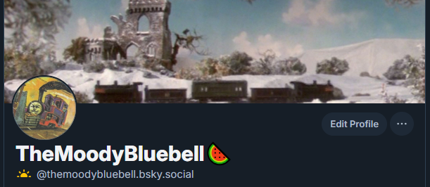 TheMoodyBluebell 🍉 tweet media