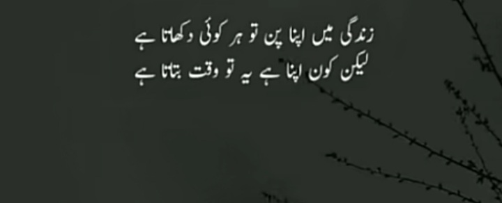 SHAHZAD (@shahzad486548) on Twitter photo 