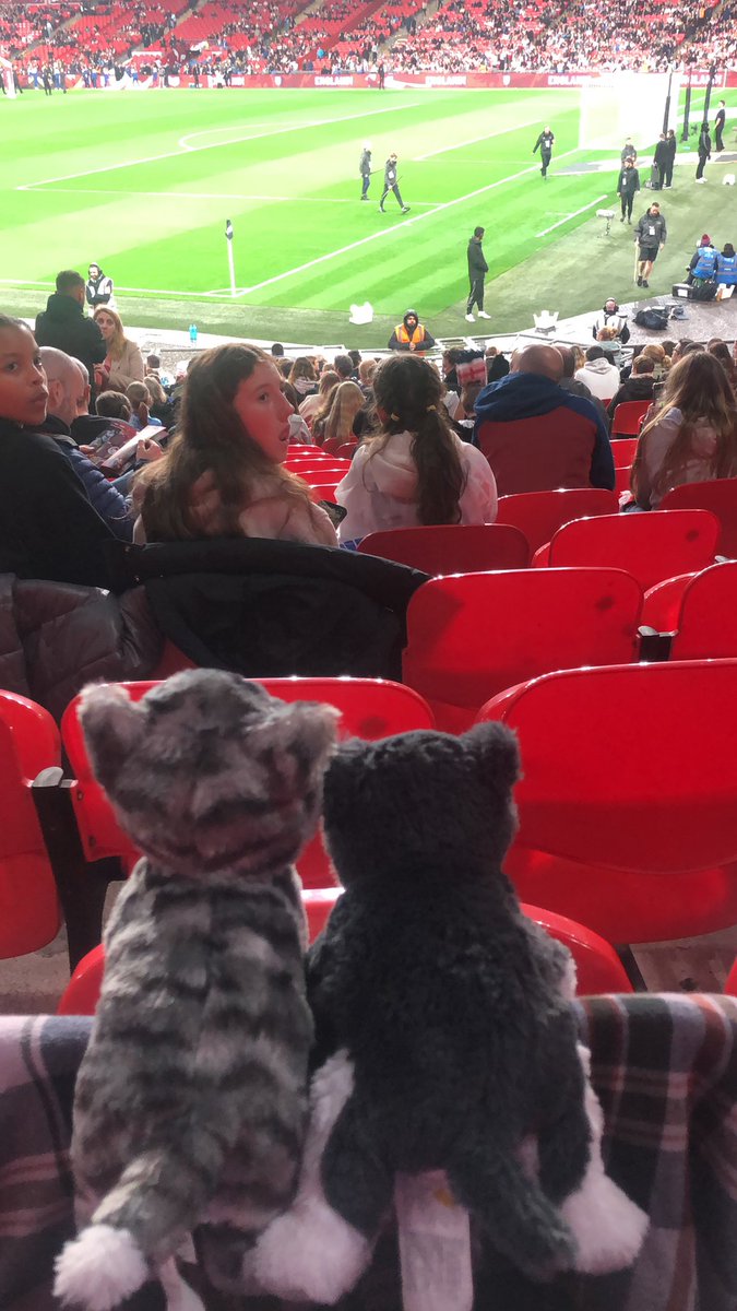 BeardedD84 tweet media