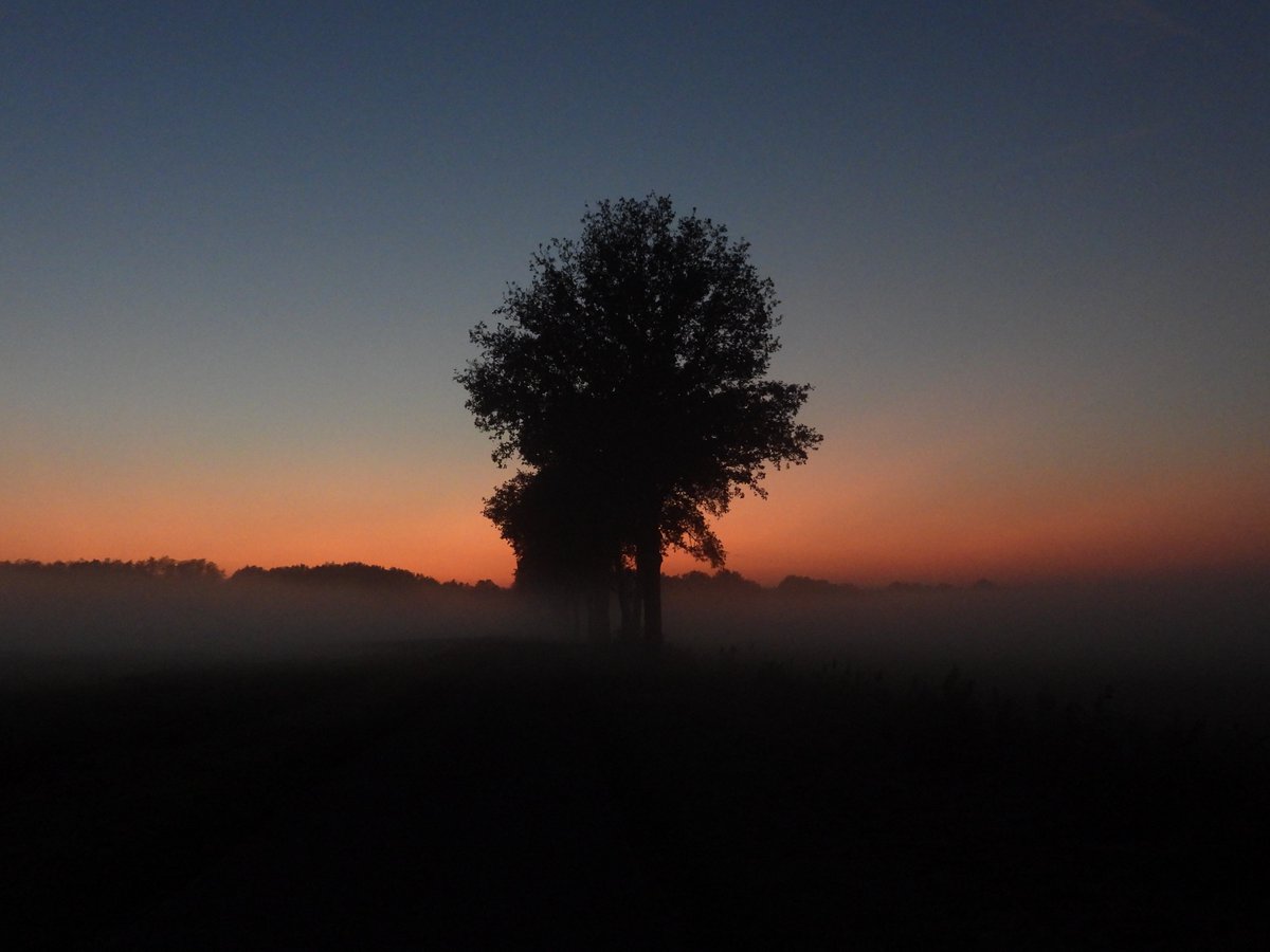 Peter Venema tweet media