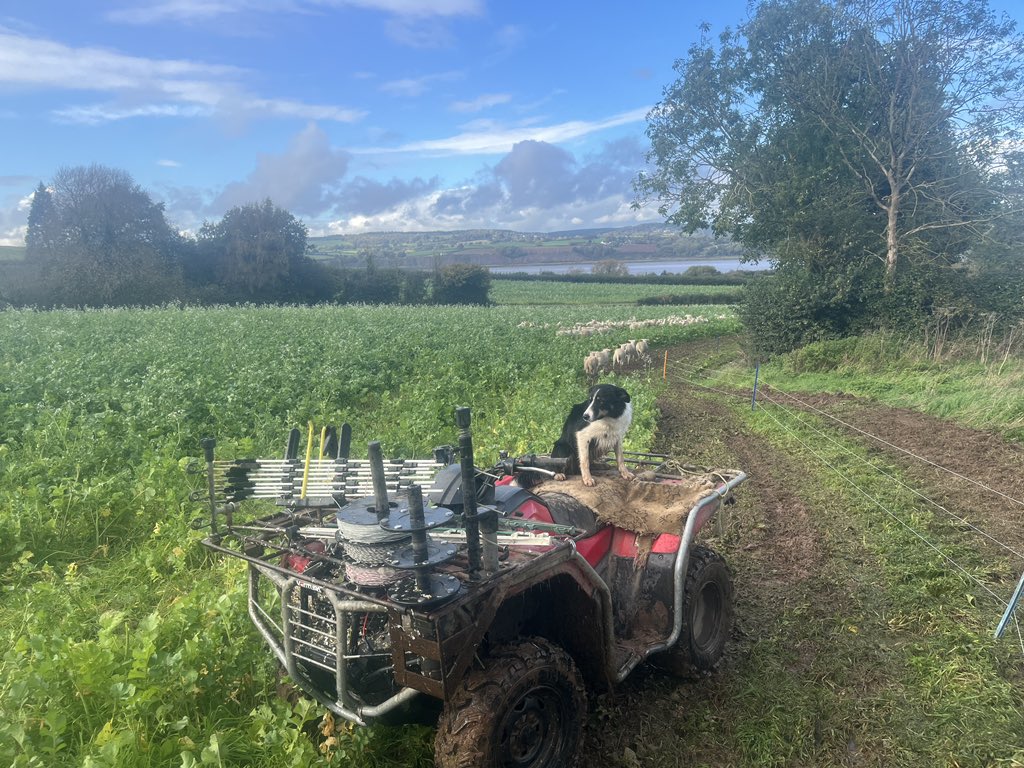 Peredur Owen tweet media