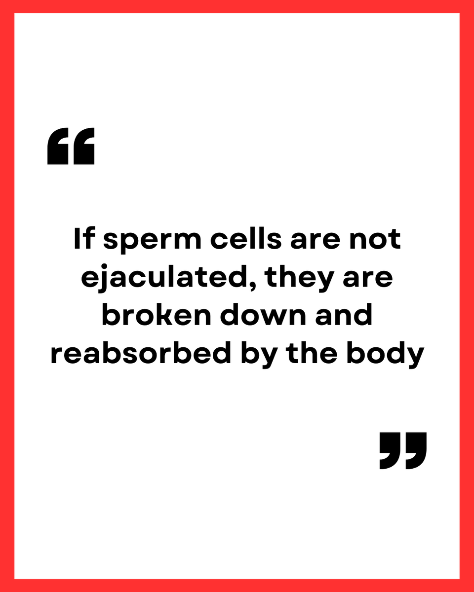 Men's Sexual Health tweet media
