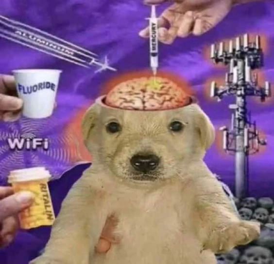 Them: Yeah I like sdsu! 

Also them: