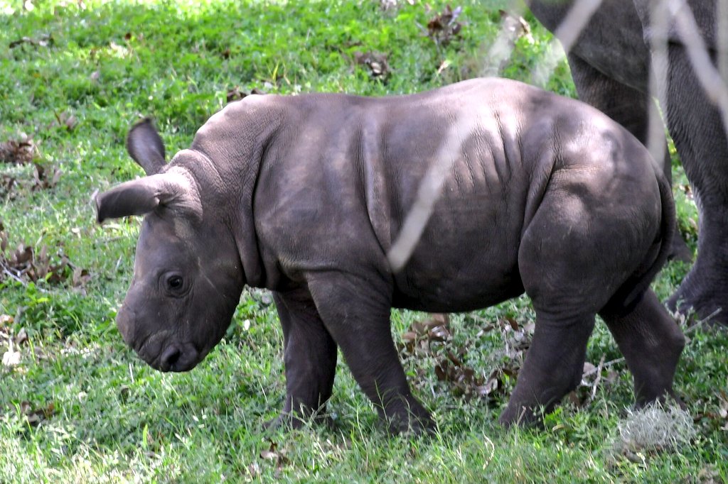 justkeepit_G's tweet image. I still got my bags and I'm the only person in crypto twitter to actually see $Azizi in person so by all means let the cabal send it back to a million and higher