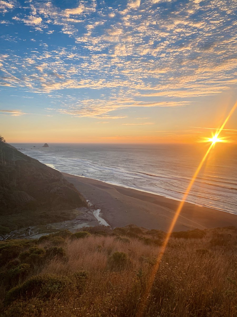 Completing your sentences is extremely impor