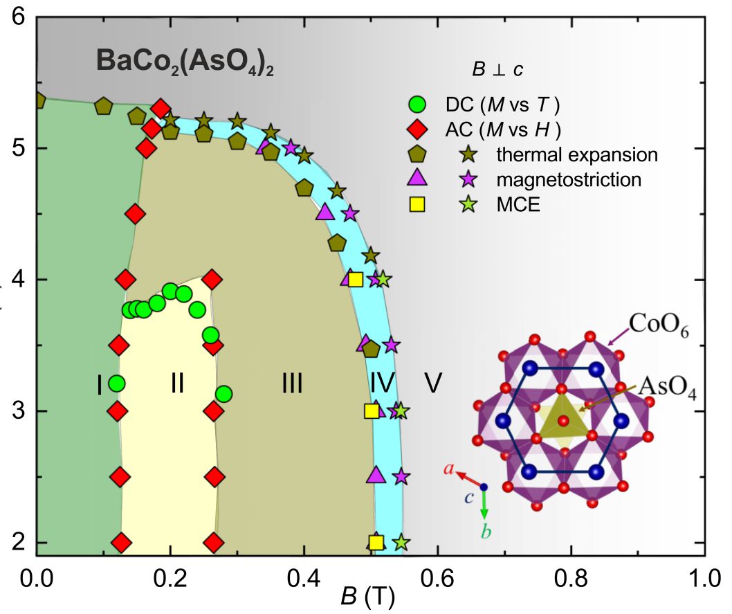 CrysQuMat's tweet photo. Unlike the famous alpha-RuCl3, the Co-based Kitaev candidate BaCo2(AsO4)2 features multiple field-induced phases, including the unusual pre-saturation phase IV, but none of these phases is a spin liquid, as we show in the new @PhysRevB Letter: https://t.co/k461WHNz6g
#ConQuMat https://t.co/RSKptzJkse