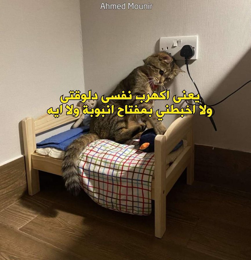 الحاله :
