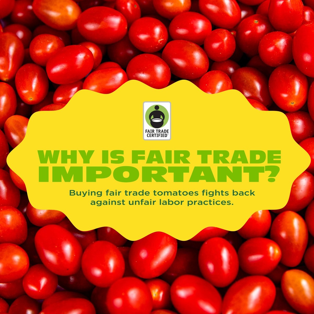 NStomatoes's tweet image. October is fair trade month, but our commitment to Fair Trade practices continues year-round. 

NatureSweet #NSTomatoes #FairTradeCertified #FairTradeMonth #NatureSweetCherubs