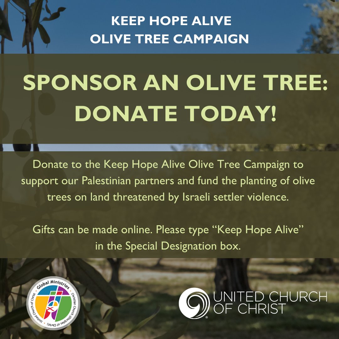 For just $20, you can help plant an olive tree in Palestine! Will you help us raise enough to plant 500 trees? 
ow.ly/iyLB50TSVob

#PlantingHopeTogether #KeepHopeAlive2024