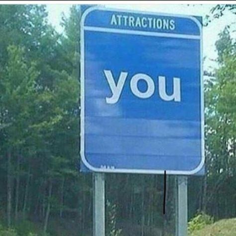 ‎‍‍‍‍‍‎ ‏‏‎‎ ‏‏‎‎ ‏‏‎‏‏‎‎ ‏‏‎‎ 𝑨𝐗𝐄𝐋 (@huntngbrd) on Twitter photo 