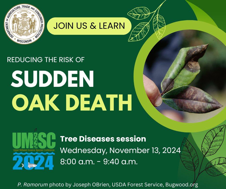 UMISC2024's tweet image. Phytophthora ramorum is a plant pathogen that causes sudden oak death in trees and ramorum blight in other plants. Come to the Tree Diseases session at UMISC to learn about DATCP’s early detection of P. ramorum to protect forest health and the green industry of the Midwest.