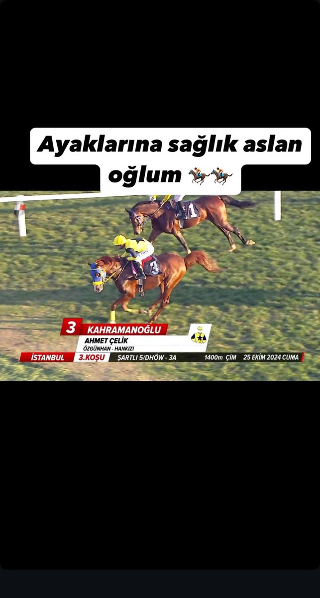 ARİF ÇELİK (@arifcelik095) on Twitter photo 