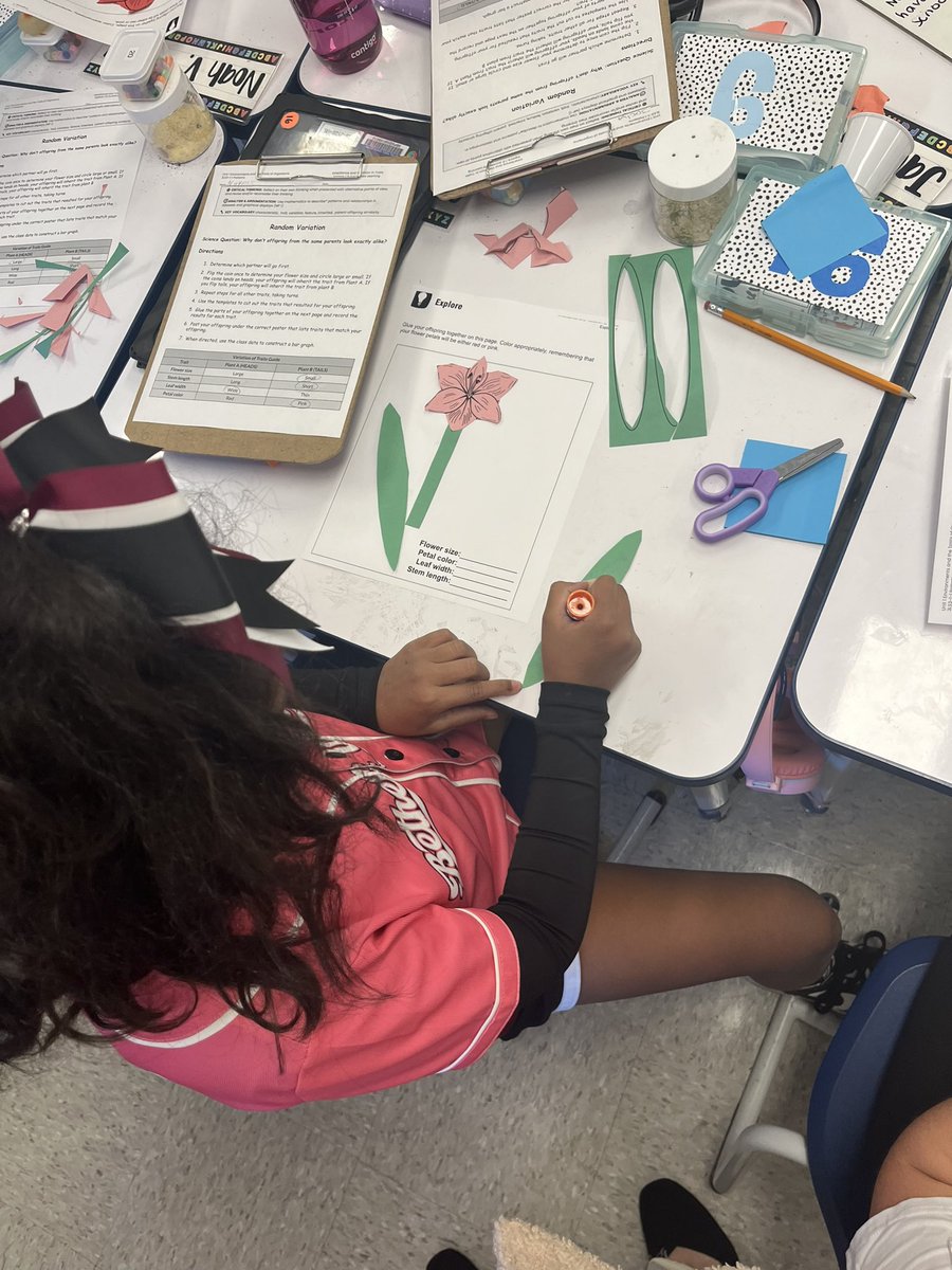 KitNielsen27's tweet photo. Third grade is exploring inheritance and variation of traits with hands on, minds on learning!  Stealing ideas from great teachers is one of my favorite parts of my job! Thanks for having me ,  Mr. Mack &amp; Ms Benston !!! https://t.co/18b3qBIDMg