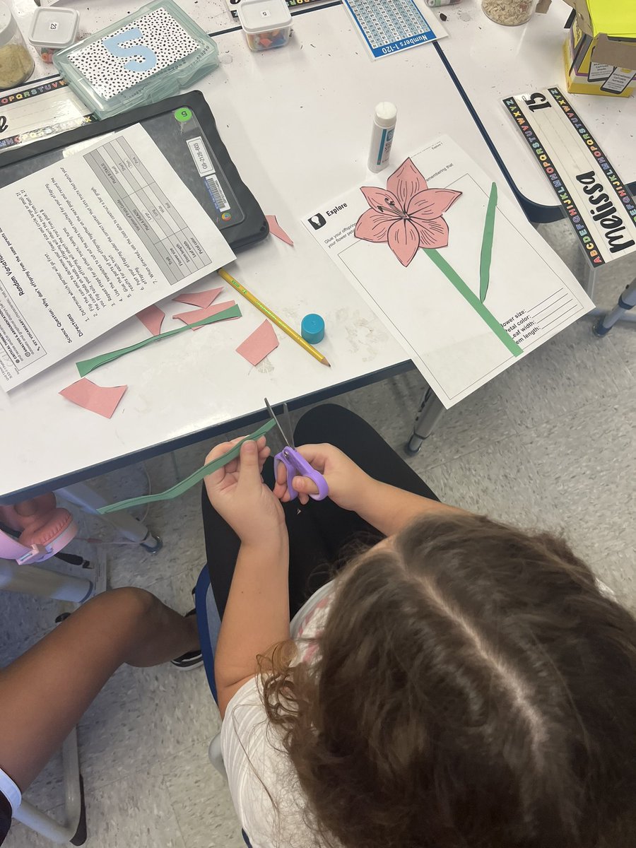 Third grade is exploring inheritance and variation of traits with hands on, minds on learning!  Stealing ideas from great teachers is one of my favorite parts of my job! Thanks for having me ,  Mr. Mack &amp; Ms Benston !!!