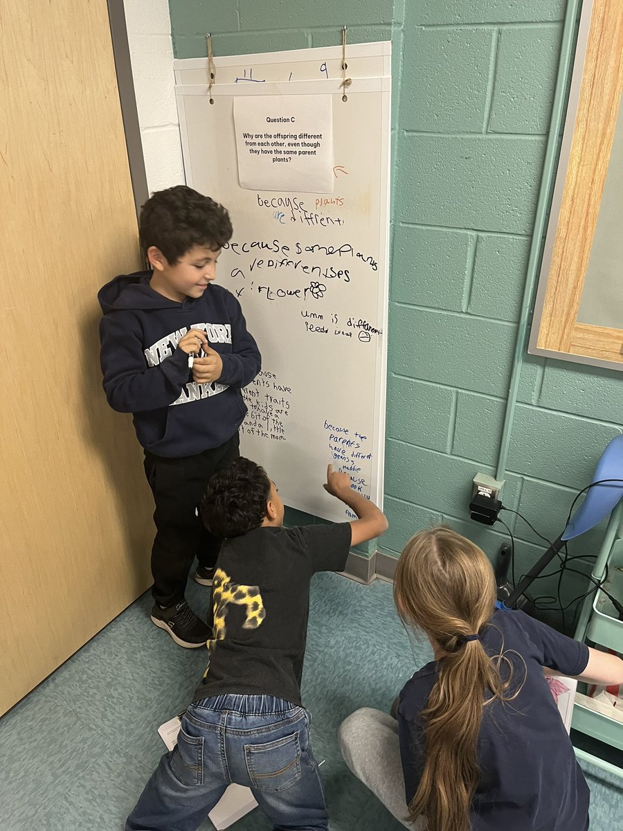 KitNielsen27's tweet photo. Third grade is exploring inheritance and variation of traits with hands on, minds on learning!  Stealing ideas from great teachers is one of my favorite parts of my job! Thanks for having me ,  Mr. Mack &amp; Ms Benston !!! https://t.co/18b3qBIDMg
