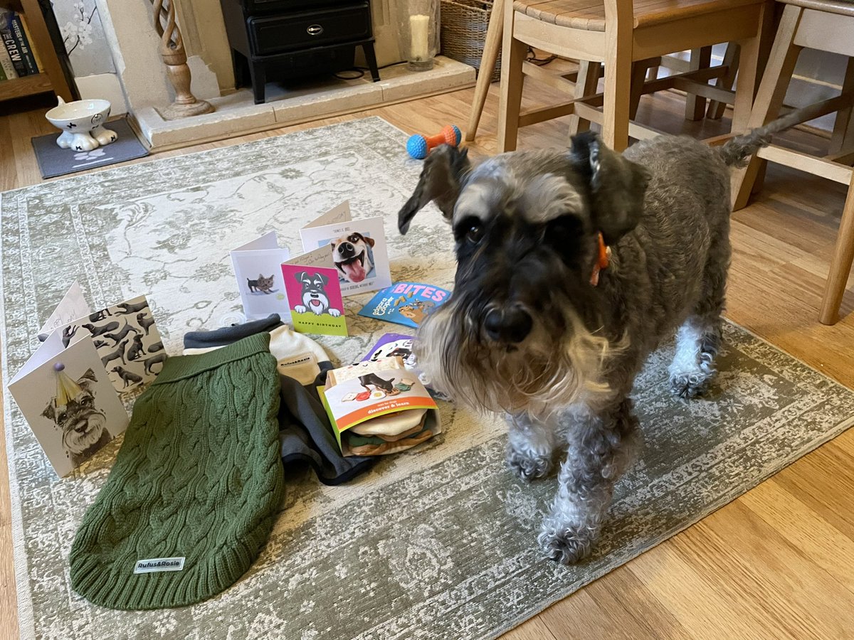 reesipops's tweet photo. Hey @Iam_Sherlock1 fanks u for da card for me 11th Barkday! Muvver is v sorry we missed both yous. Me has been v poorly since April wiv IMHA but I iz thankfully getting better now wiv blood transfusion &amp; drugs. It’s been horrible &amp; Muvver has been v sad &amp; worried. #SchnauzerGang https://t.co/xiZtC04QxU