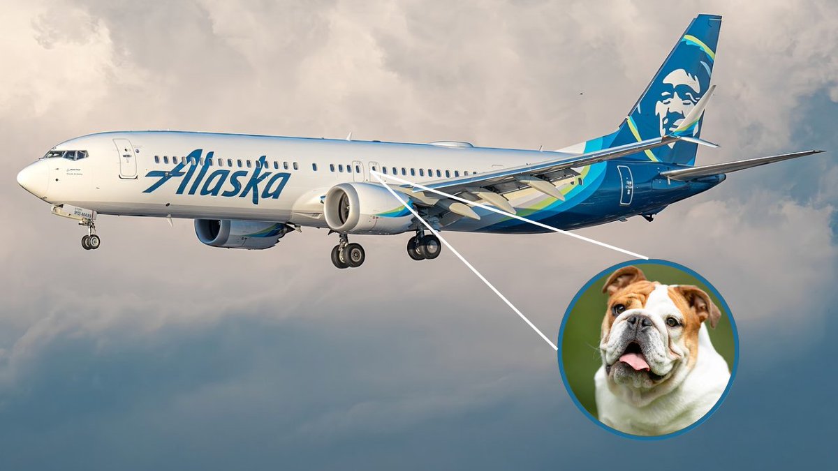 Aviationa2z's tweet image. Alaska Airlines (AS) faces litigation from a San Francisco resident following the death of his three-year-old French dog, stemming from transfer from first class to economy class.

#AlaskaAirlines #Alaska $ALK #SanFrancisco #France #Dog #Aviation #News
aviationa2z.com/index.php/2024…