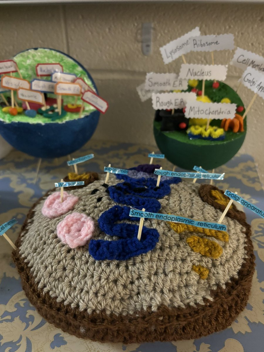 Tina Blackmore tweet media