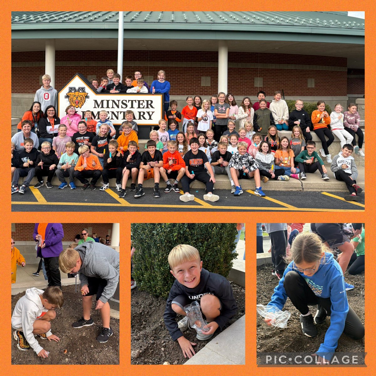 MinsterSchools's tweet image. 4th grade students shared their “Learning in Full Bloom” project today, by planting tulips in front of the elementary. The students were led by their student teacher, Miss Sanchez. Thank you for all the support for this great event!