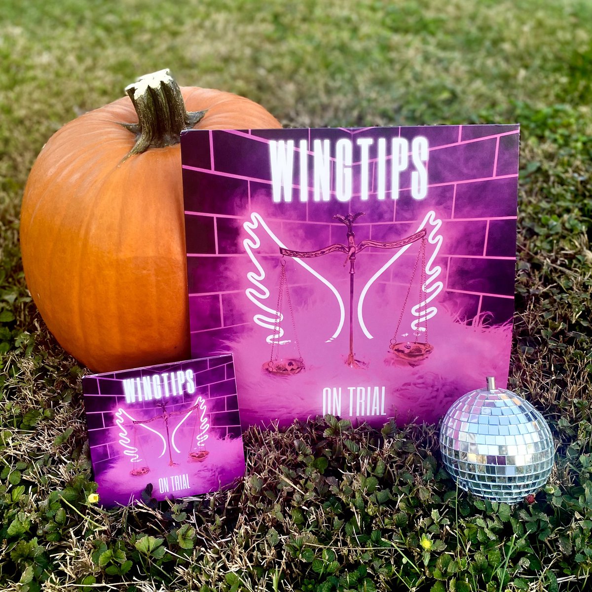 WINGTIPS tweet media