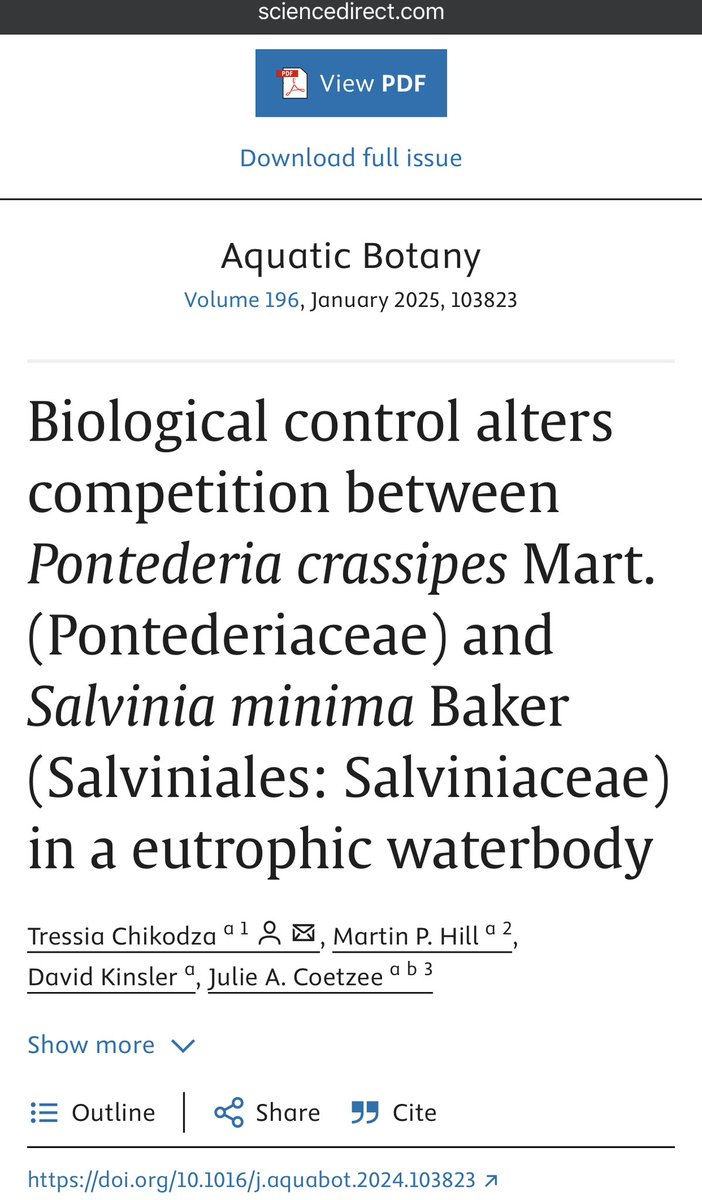 Tressia_Chikodza tweet media