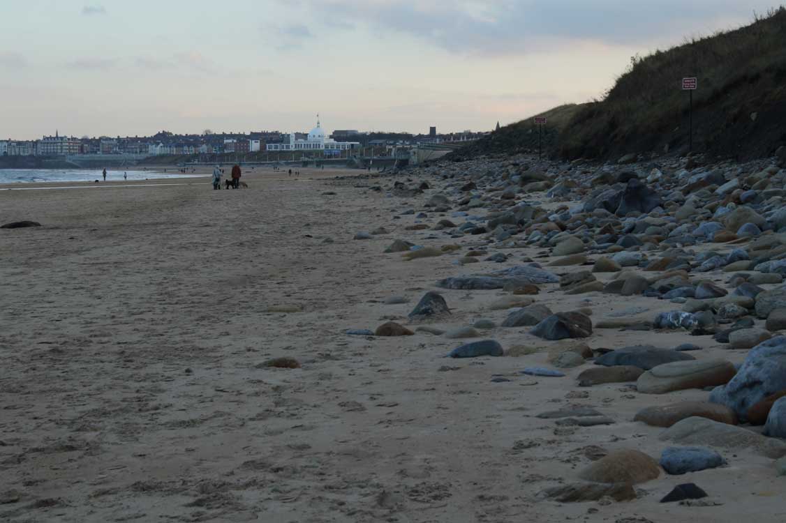Thurs, 24 Oct 2024.
Afternoon beached bird survey at Whitley Bay (photo). No beached birds, but individual flight feathers included those from … gannet, swan sp. and herring gull. Live birds to entertain included pied wagtail, rock pipit, goldfinch, sanderling and golden plover.