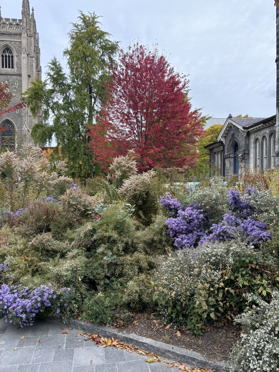 Alex Bozikovic tweet media