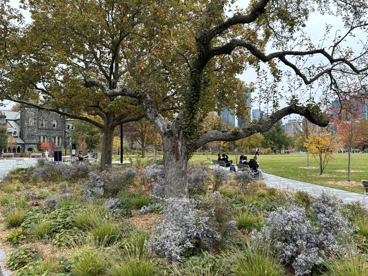 Alex Bozikovic tweet media